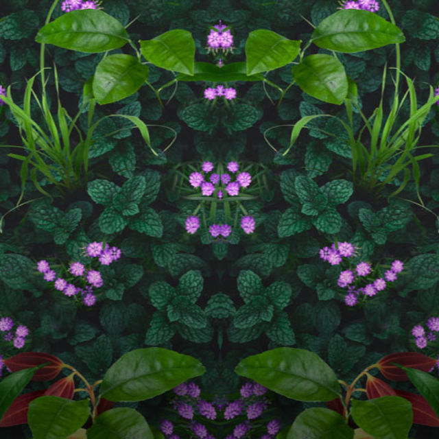 AMOL – wszechstronny lek na różne przygody